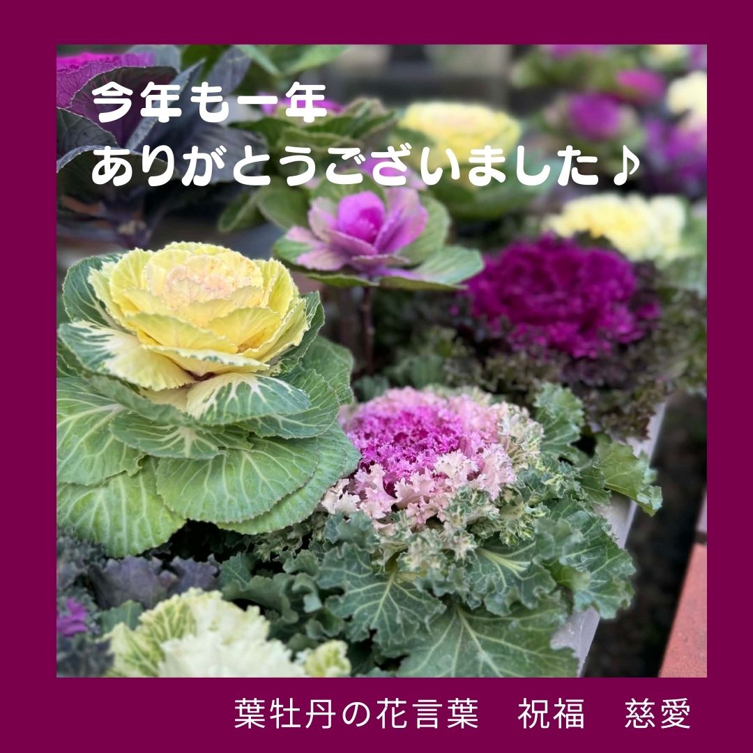 2025年　年末ごあいさつ